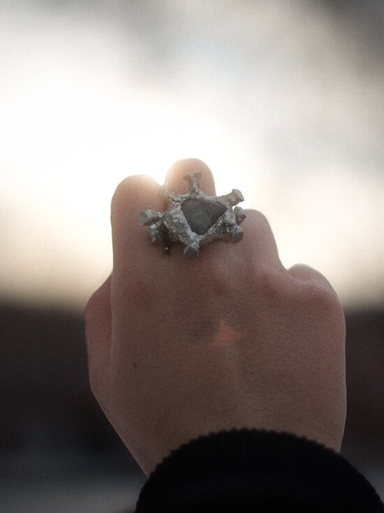 Insect Ring - Picture 2 of 2